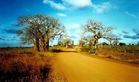 Travel Destination